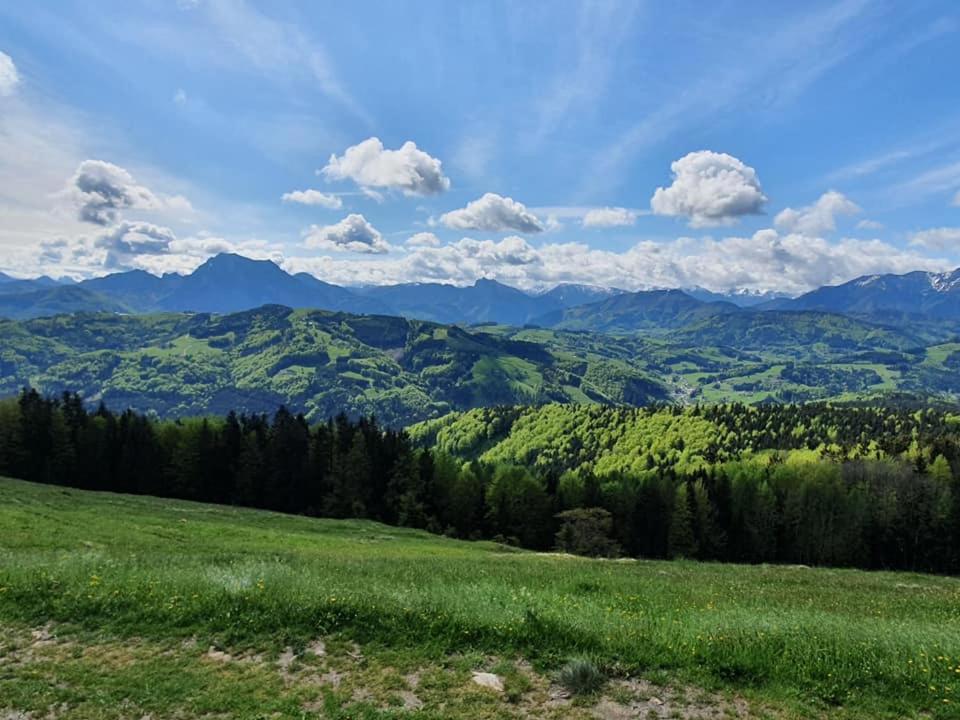 Holzhaus "Zum Schwarz'N" Apartment Aurach am Hongar Bagian luar foto