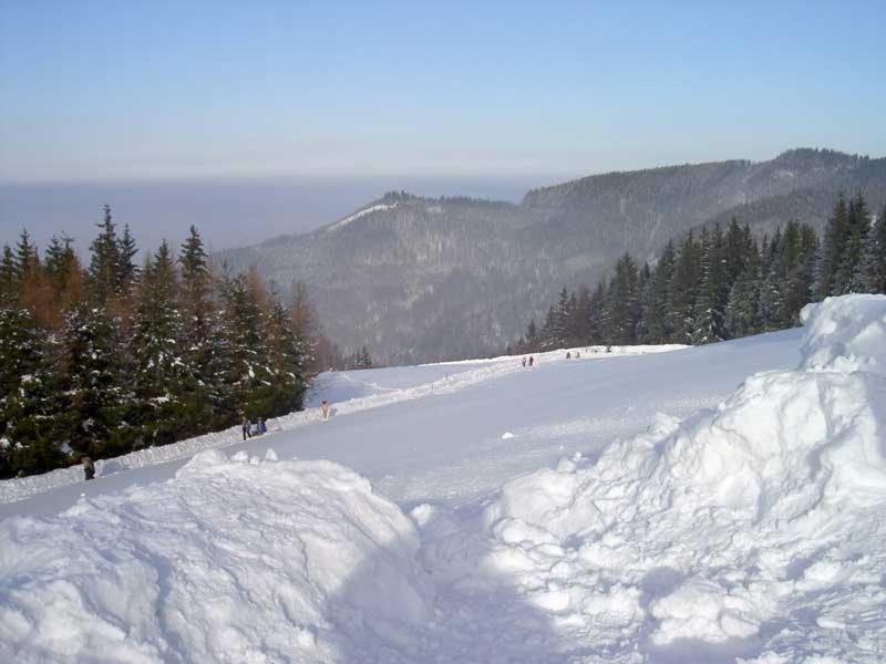 Holzhaus "Zum Schwarz'N" Apartment Aurach am Hongar Bagian luar foto