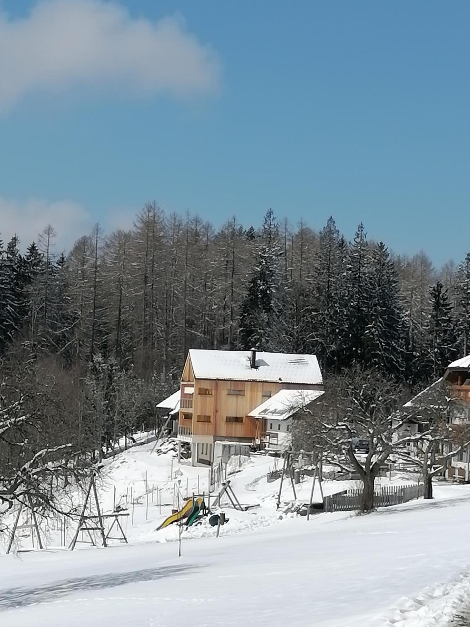Holzhaus "Zum Schwarz'N" Apartment Aurach am Hongar Bagian luar foto