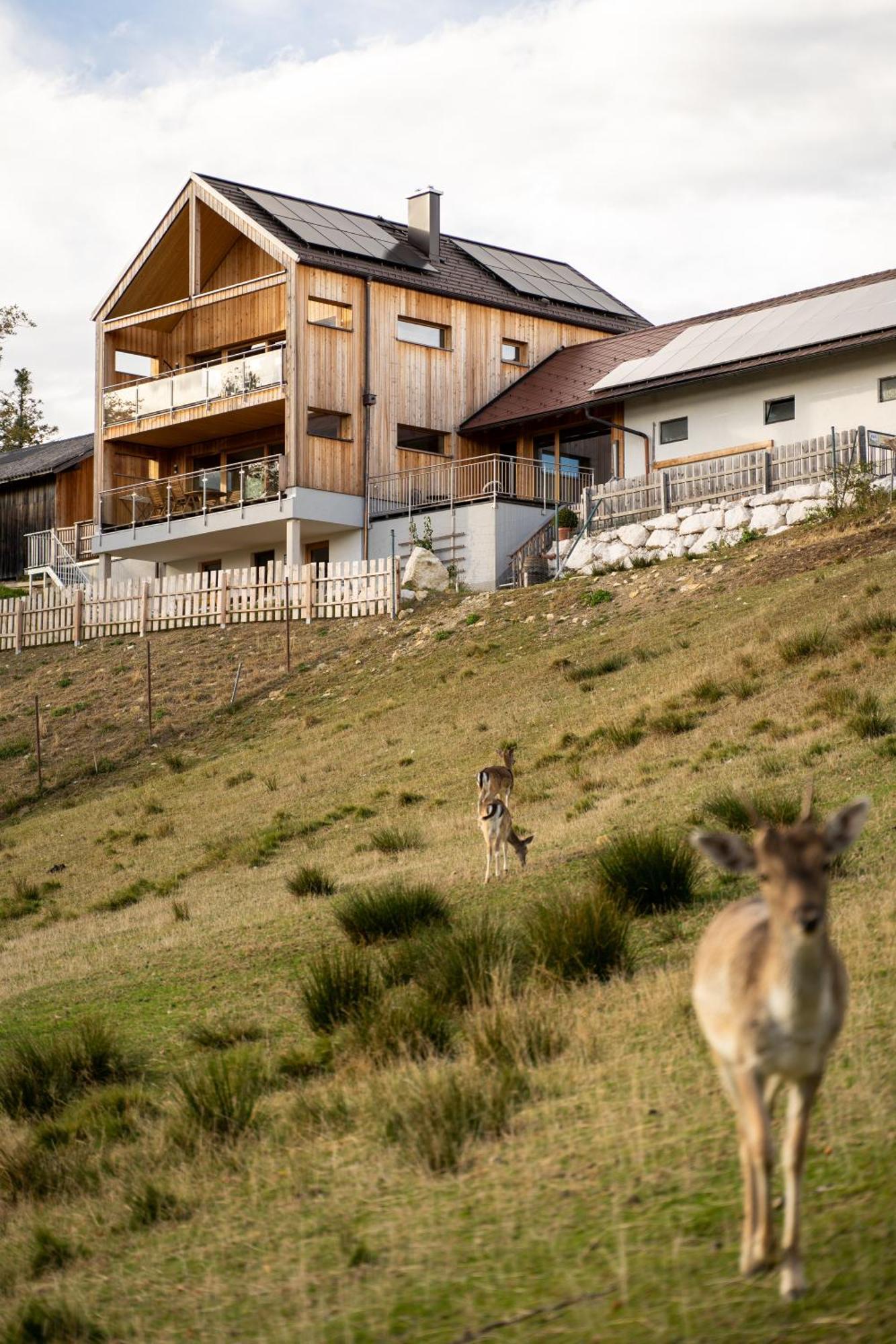 Holzhaus "Zum Schwarz'N" Apartment Aurach am Hongar Bagian luar foto